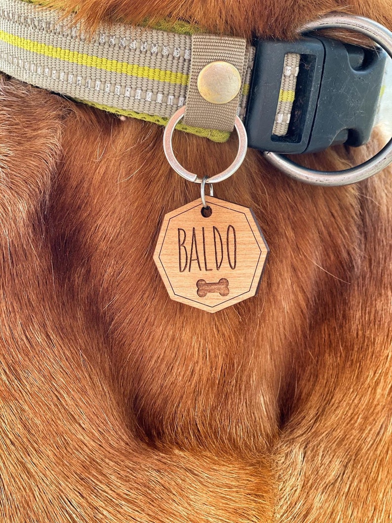 Dog tag, name tag for dogs and cats, engraved dog tag, personalized, pet name tag with address, phone number, Tasso image 1