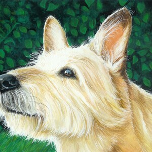 Custom pet portrait, illustration, cartoon, handmade, created using your photos