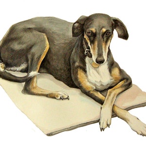 Custom pet portrait, dog portrait, illustration, cartoon, handmade, created using your photos