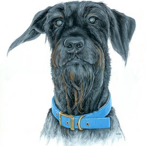 Custom pet portrait, illustration, cartoon, handmade