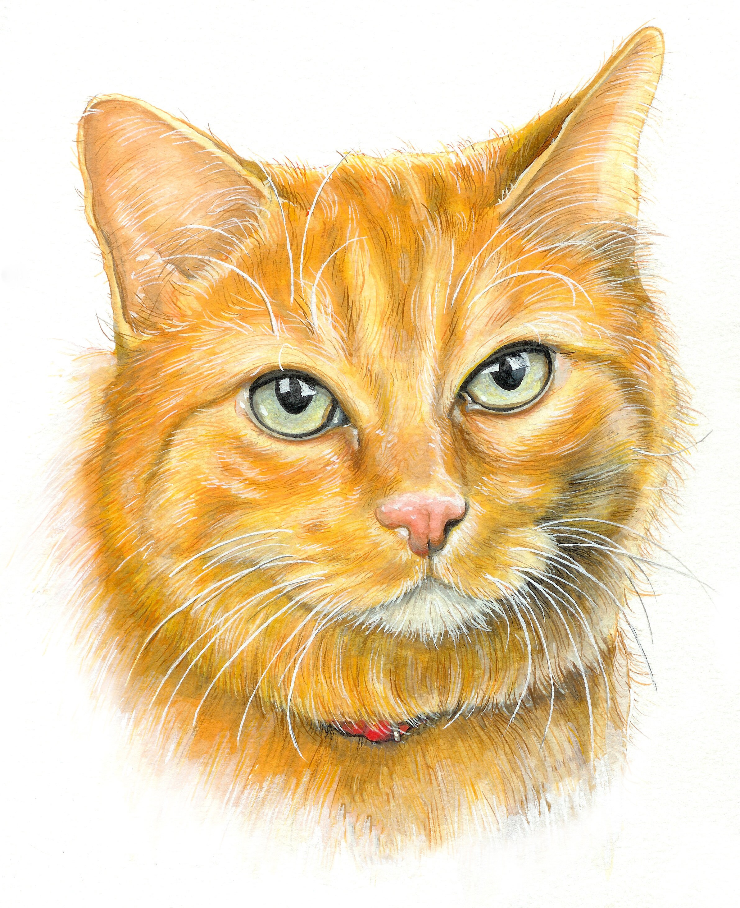 Custom Pet Portrait Illustration Cartoon Handmade Created Etsy