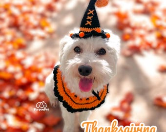 May include: A white dog wearing a black and orange crocheted witch hat with a pumpkin on top and a black and orange crocheted collar. The dog is standing on a bed of orange and brown leaves. The text "Thanksgiving" is written in orange letters on the bottom of the image.