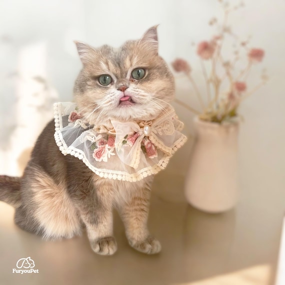Personalized Handmade Lace Collar with Embroidered Flower Bow, adjustable for cat dog, cat accessory, pet accessory, pet wedding, spring
