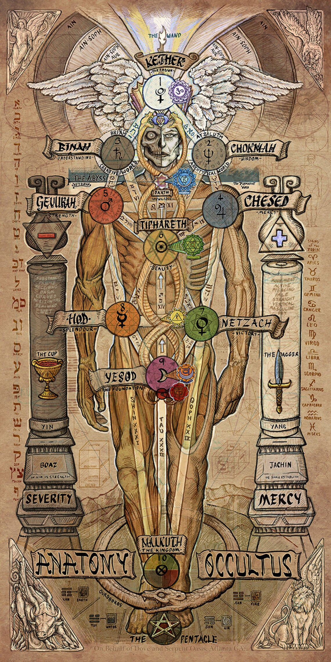 Anatomy Occultus 9x18 Archival Print Numbered Etsy
