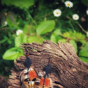 May include: A pair of long, colourful feather earrings with black and brown beads. The earrings are hanging from a wooden surface.