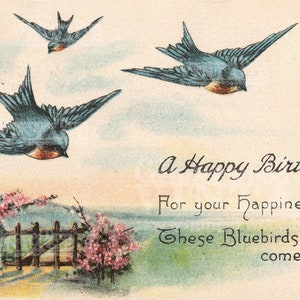 Digitaler Download von Antik Vintage alles Gute zum Geburtstag wünscht blaue Vogel Vögel Land Blumen Postkarte Hi Res Handwerk Versorgung Clip Art Bild 1900s