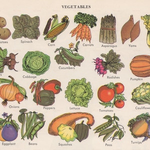Digital Download of Vintage Vegetables Veggies Food Fresh Decor Whimsical High Resolution Craft Supply Clip Art Story Book Image Vegan 4x6