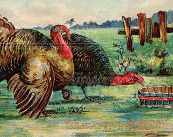 Digital Download File THANKSGIVING Digital Image File Turkey Pie 1910s ...