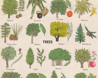 Vintage Tree Identification Guide: Nature Decor Art Print (Digital Download)
