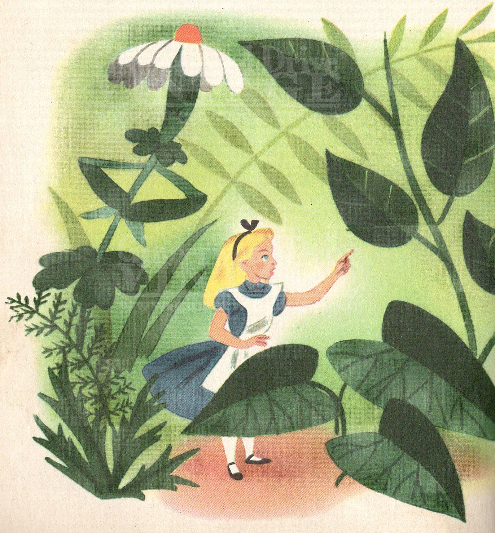 Vintage Disney Alice In Wonderland Art