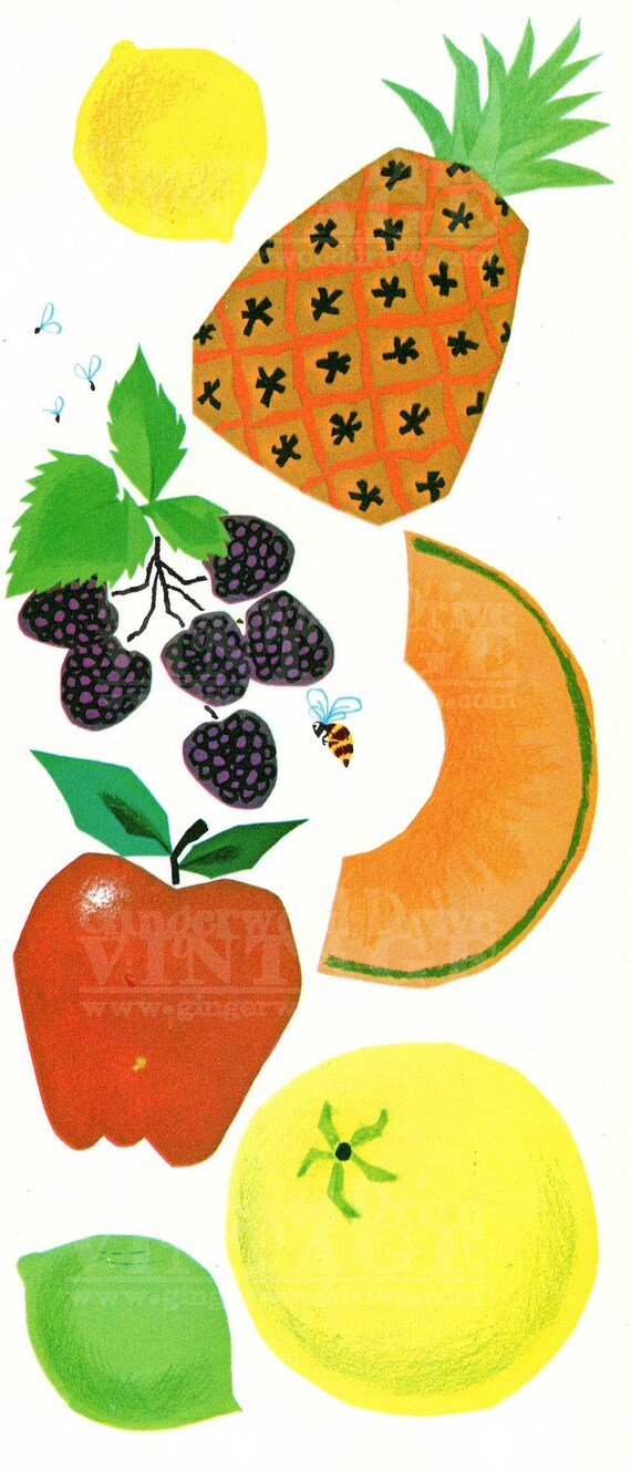 Digital Download of Vintage Fruit Melon Pineapple Berry Apple Etsy