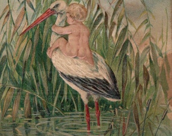 Digital Download of Vintage Naked Baby Riding Stork Pond Congratulations Post Card Announcement Whimsical Hi Res Craft Supply Clip Art Image