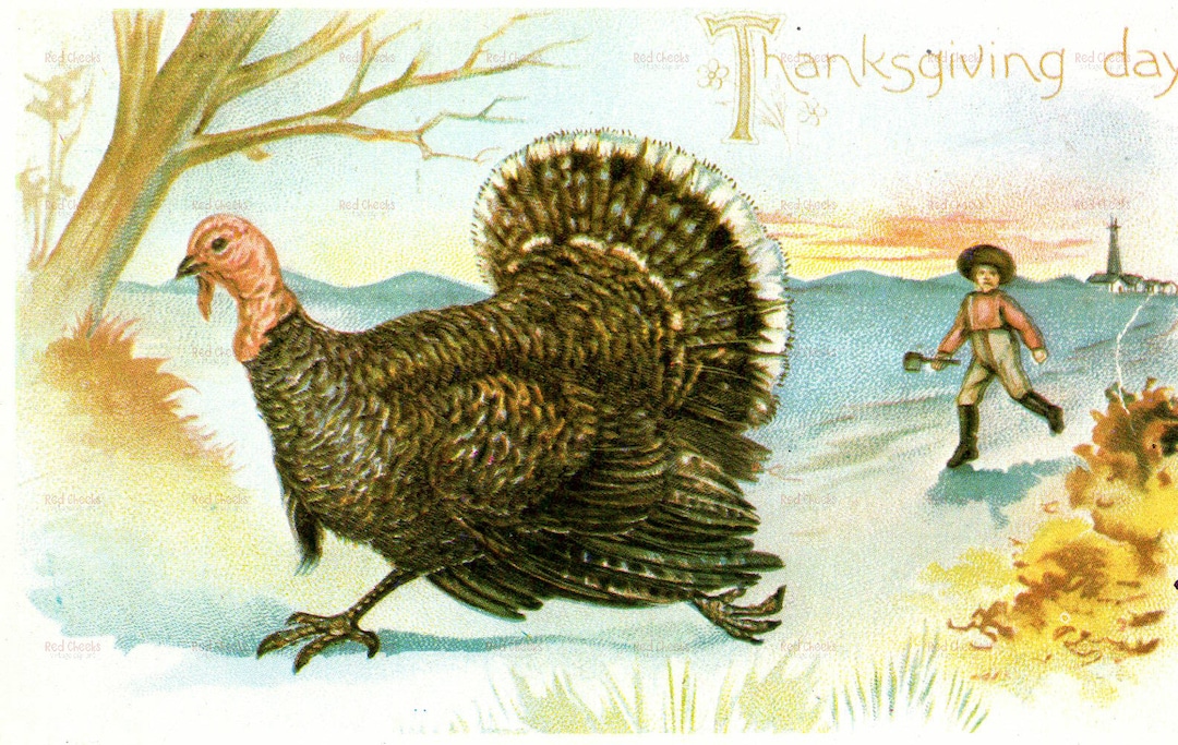 Vintage Turkey Thanksgiving Postcard Image (digital Download) - Etsy