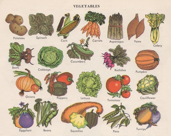 VINTAGE CALIFORNIA FREE FORM VEGETABLE