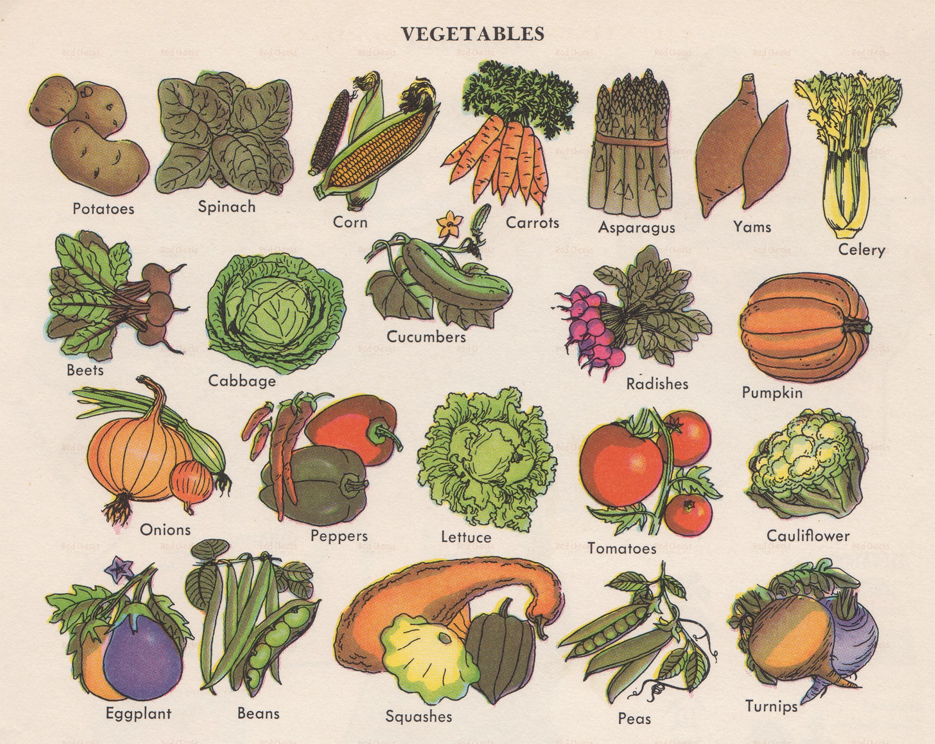 Vintage Vegetable Illustration: Whimsical Food Decor (digital