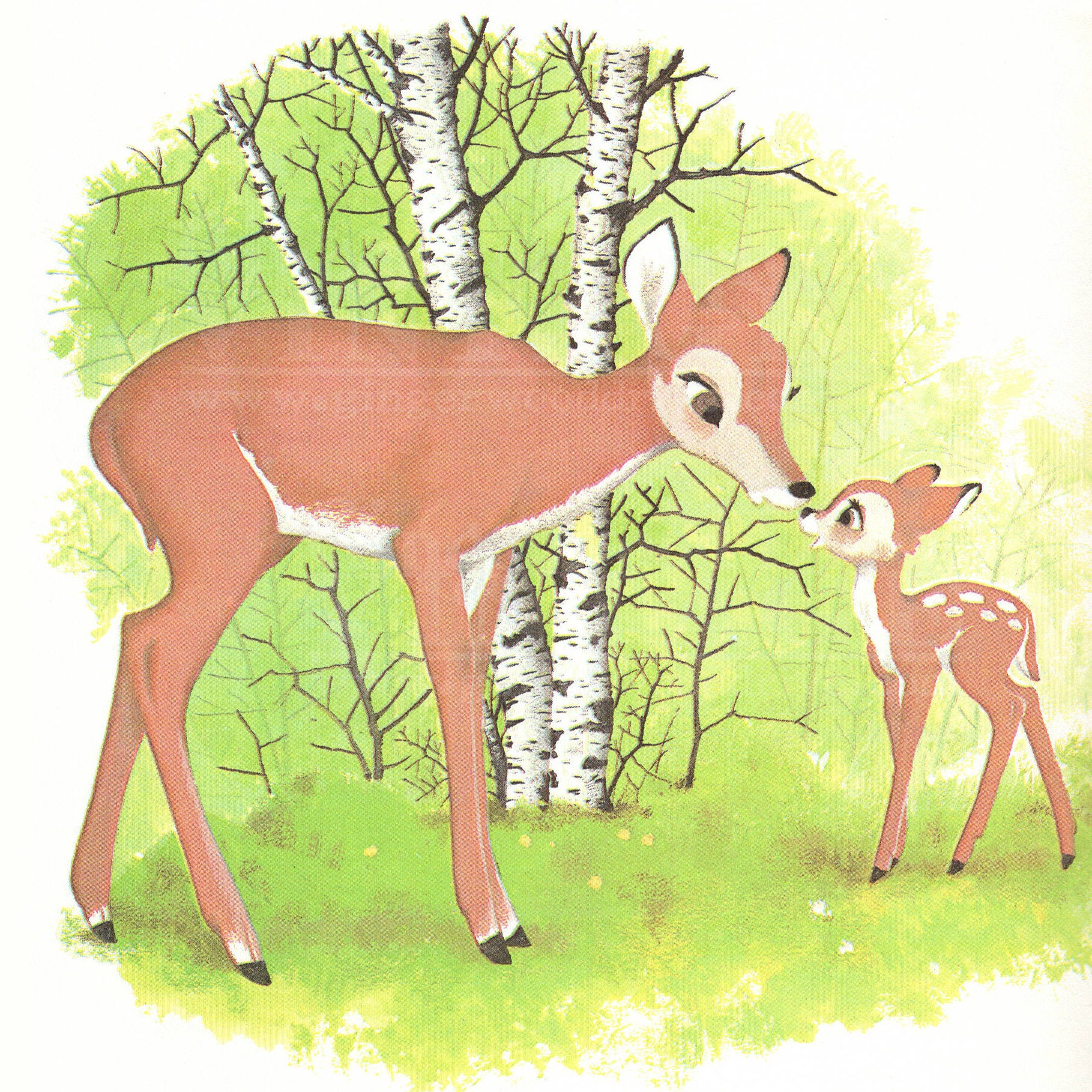 Bambi Doe:  Nature Stock Footage For Filmmakers - mdmpvbm