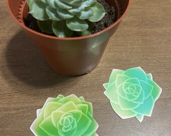 Succulent Sticker