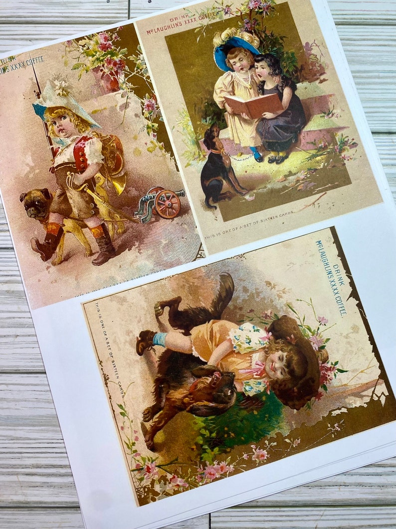 Pu&ograve; includere: Tre carte da collezione vintage raffiguranti bambini e cani. Le carte sono stampate su carta spessa con sfondo dorato e riportano il testo "Drink McLaughlin's XXXX Coffee".