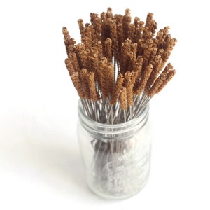 May include: A glass jar filled with a bundle of brown cleaning brushes with metal wire stems.
