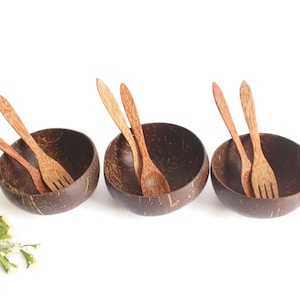3 sets x Coconut Bowl with spoon and fork, Personalized Coconut shell bowl and spoon fork set, Eco friendly Vegan Bowl, personalized gift