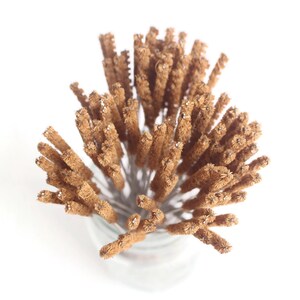 May include: A bunch of brown, natural bristle bottle cleaning brushes are bundled together. The brushes are made of natural materials and are designed to clean the inside of bottles.