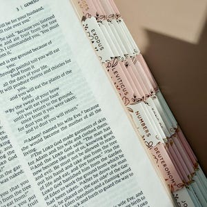 May include: An open Bible with printed text showing Genesis 4:5, featuring a series of adhesive index tabs along the edge. The tabs are alternating shades of pale pink and white, decorated with gold-colored line art of floral and leaf patterns.