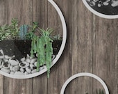 Pack of 3 White Round Hanging Planters, Wall Planter, Hanging Terrariums, Round Terrarium, Wall Vase, Round Fairy Garden, Round Iron Planter