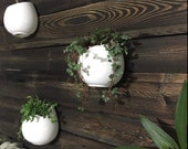 SET OF 3 White Ceramic Planters, Wall Mountable Vase, Hanging Succulent Pots, Decorative Ceramic Flower Planters, Wall Planters