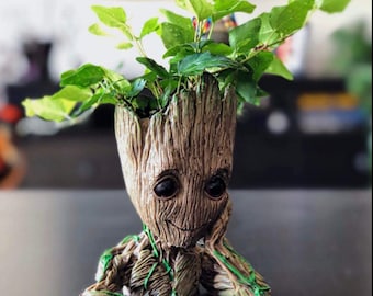 planters etsy
