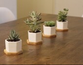 Set of 3 or 4 or 6 Succulent Planter Pots With Bamboo Tray, Small White Ceramic Hexagon Containers, Cactus Planters, Flower Pots