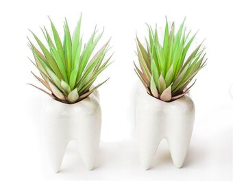 Planter Gift Set Etsy