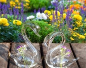 Pair Of Swan Glass Vases. Hydroponic Vases. Glass Terrariums, Swan Planters, Blown Glass Swan Bud Vase, Hydroponic Swan Vase, Swan Figurine