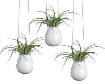 Hanging Plant Holder - Etsy Hanging Plant Holder - Etsy