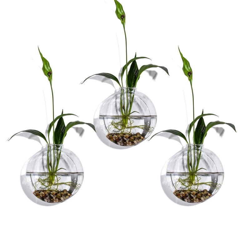 Set of 3 Bubble Terrariums Glass Wall Mounted Vase Etsy