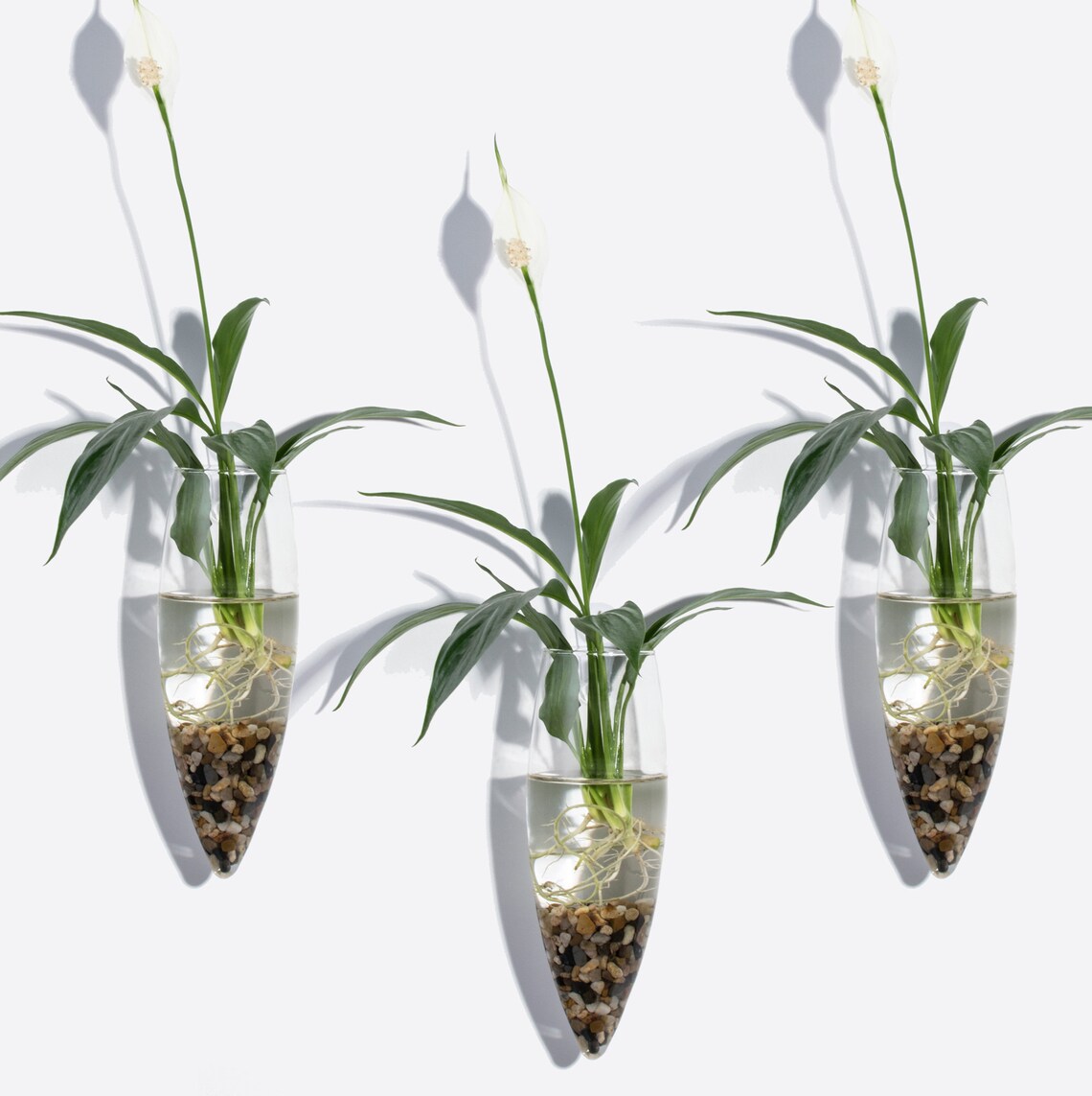 Set of 3 Oval Glass Wall Vases 7H Oval Shape Glass Etsy