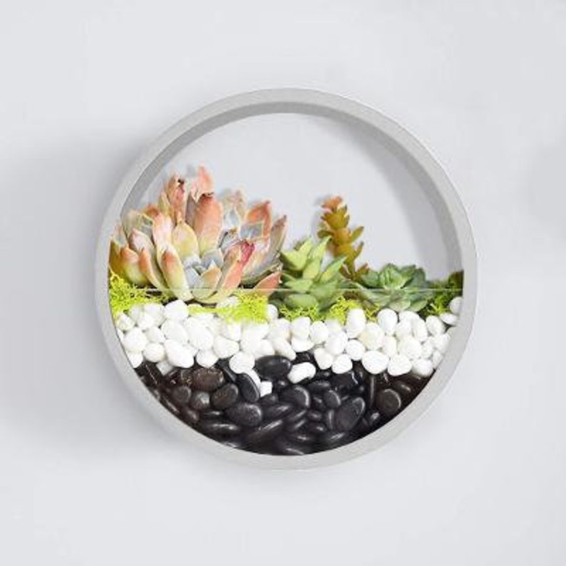 White Round Metal Wall Hanger Round Wall Terrarium Hanging Etsy