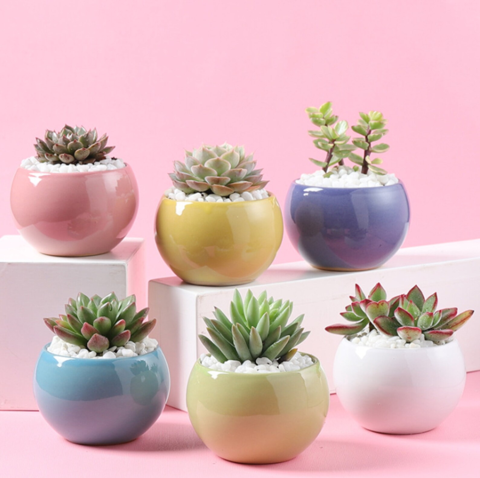 Set Of 6 Pastel Planter Pots Glazed Pots Small Pastel Pots Etsy
