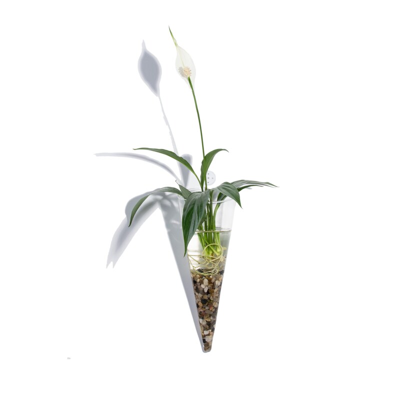 Wall Mounted Vase Cone Shape Glass Wall Vase Wall Planter Etsy