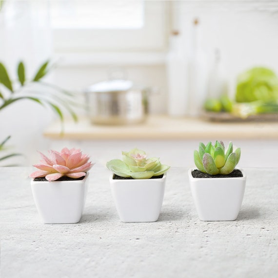 Faux Succulents Imitation Succulents Miniature garden Artificial Succulents DIY Plants for Home Decor DR163