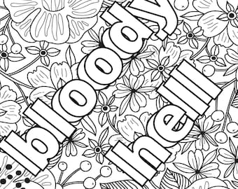 30 Page Adults Only Dirty Words and Phrases Colouring Book