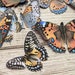 Diecut butterflies for journaling, fussycut butterflies, junk journal ephemera, cutout butterflies, cardmaking, scrapbook, table decor