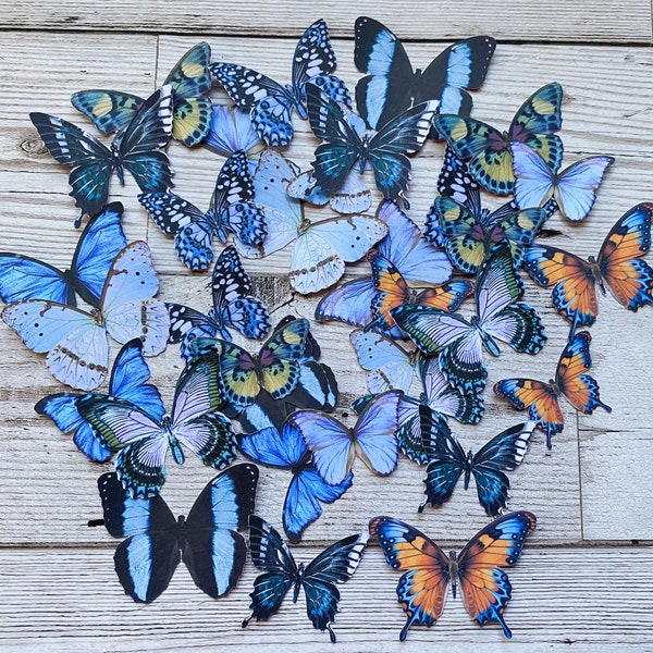 Shades of blue fussycut butterflies for journaling, diecut butterflies, junk journal, paper ephemera, cutout butterflies, cardmaking