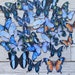Shades of blue fussycut butterflies for journaling, diecut butterflies, junk journal, paper ephemera, cutout butterflies, cardmaking
