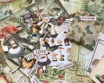 Può includere: Una collezione di ephemera di carta vintage con funghi, farfalle e illustrazioni botaniche. Le carte sono stampate su una varietà di texture e colori, tra cui verde, marrone e bianco. Le carte sono perfette per lo scrapbooking, la creazione di biglietti e altri progetti di artigianato.