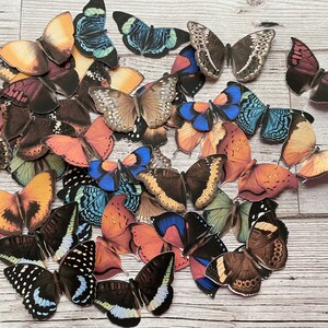 Fussycut butterflies for journaling, diecut butterflies, junk journal ephemera, cutout butterflies, cardmaking, scrapbook, table decor