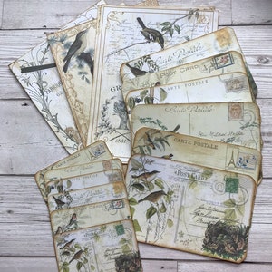 Vintage Bird Journal Paper Pack, Journaling Kit, Scrapbooking Kit ...