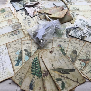 Vintage Bird Journal Paper Pack, Journaling Kit, Scrapbooking Kit ...