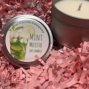 Mint Mojito Candle – Fresh Mint & Lime | Summer Vibes Soy Candle | Taylor Candle Company