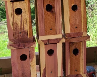 Bluebird house. 2 pack rustic cedar bluebird house. Woodworking. Birdhouses. Bird watching.  Bird home.