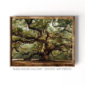Live Oak Painting Print Angel Oak Wall Art Cottagecore Tree Print Oak Tree Botanical Print Vintage Oak Tree Painting Print Oak Oil Painting